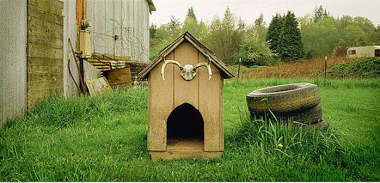 《使命召唤：战区手游》似乎延期了 但仍在今年发售